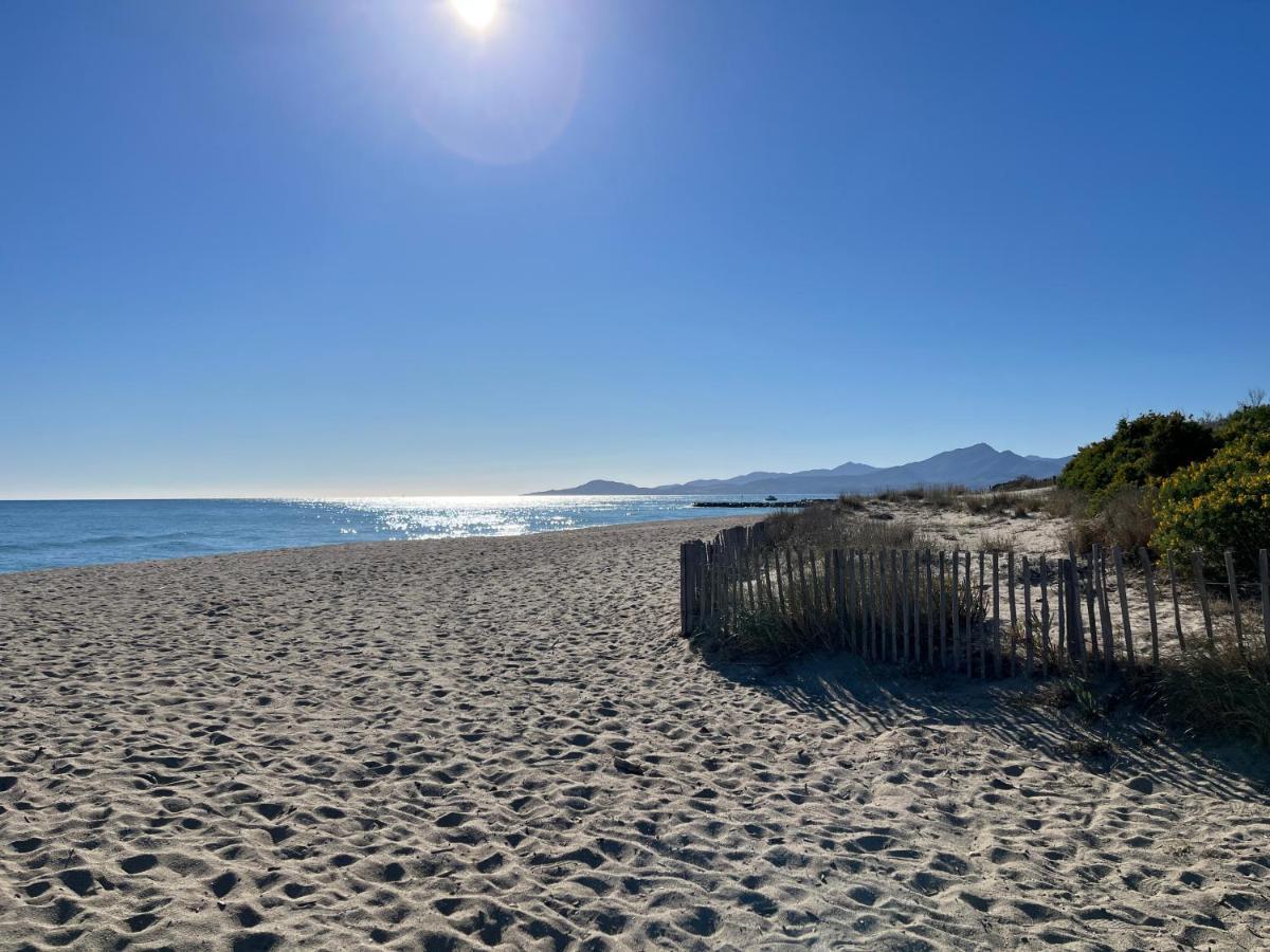 Appartement Entre La Lagune Et La Mer Avec Piscine, Direct Plage, Vue Partielle Mer Saint-Cyprien  Exteriör bild